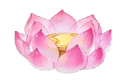Pink Lotus Lamp - pink - PNG