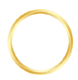 Gold Circle - Transparent Layer PNG