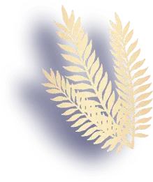 Fern - plant - No Watermark PNG