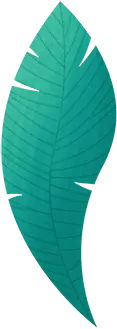 Leaf - PNG Images - Fast Download PNG