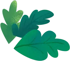 Three Green Leaves - tree leaves - No Watermark PNG