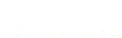 Falling White Flowers - nature - Transparent Layer PNG