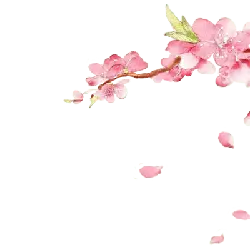 Peach Blossom Branch - flower - PNG