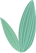 Plant Leaves - leaf - High Resolution PNG