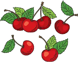 Cherry - juicy - Designer's Pick PNG