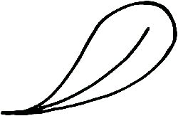 High Quality PNG - Black Owl - night hunter - Pic 1