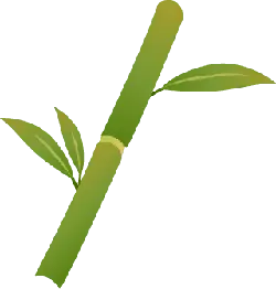 Bamboo - stem - leaves - Free Download PNG