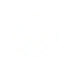 Butterfly - symmetrical - nature - Transparent Background PNG