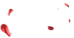 Falling Rose Petals - petal - No Watermark PNG