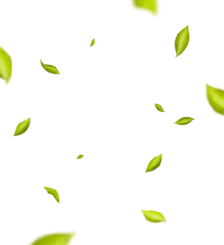 Leaves Falling - Free for Commercial Use PNG - background
