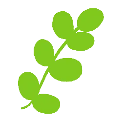 Clover - ecology - Trending PNG
