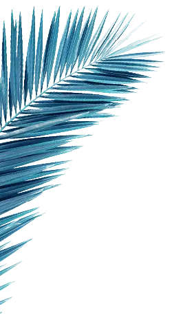 Blue Feathers - Free PNG