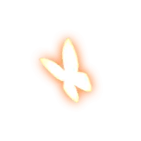 Butterfly - symmetrical - beautiful - No Watermark PNG
