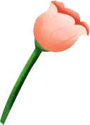 Tulip - High Download Count PNG