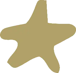 Star - shape - star - Free Download PNG