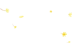 Yellow Petals Falling - petal - No Background PNG