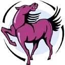 Pink Horse - horse - Free PNG