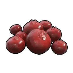 Pomegranate - red - circular - Transparent Background PNG
