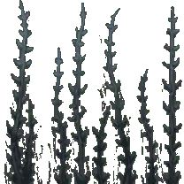 Snowflake - cold - Trending PNG