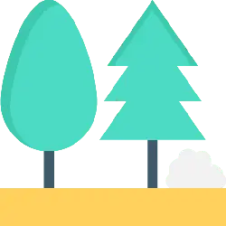 Two Trees and a Cloud - nature - High Resolution PNG