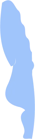 Blue Abstract Shape - Transparent Layer PNG