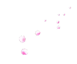 Pink Petals - lightweight - Free Download PNG