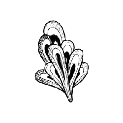 Abstract Pattern - line - shape - Free PNG