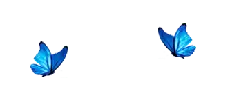 Blue Butterfly - Free PNG