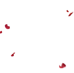 Falling Rose Petals - petal - Designer Recommended PNG
