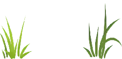 Green Grass - plant - Fast Download PNG