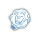 Rose - floral - High Resolution PNG