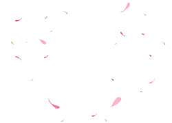 Pink Petals Falling - pink - PNG