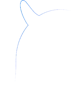 Whale - outline - No Background PNG