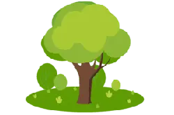 Green Tree - leaves - nature - No Background PNG
