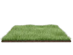 Green Grass - plant - Free Download PNG