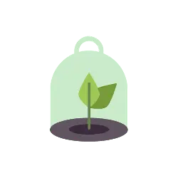 Plant in Glass Dome - growth - Transparent Background PNG