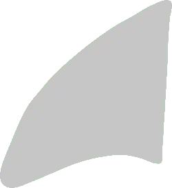 Abstract Shape - graphic design - gray - Free PNG