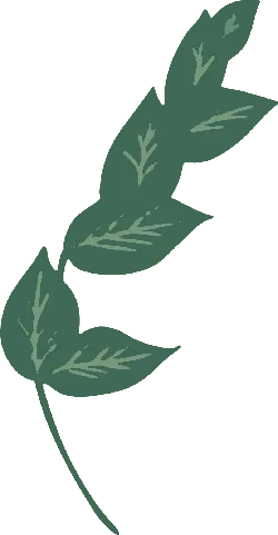 Green Leaves - art - No Watermark PNG