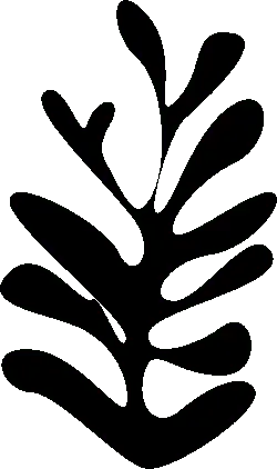 Black Owl - PNG Images