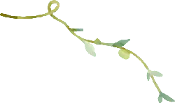 Vine - No Background PNG
