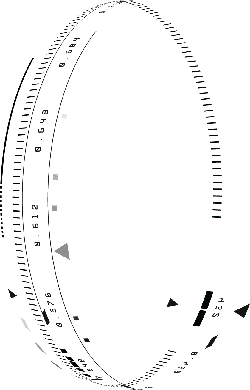 owl - Transparent Layer PNG - Black Owl - Pic 1