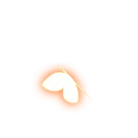 Butterfly - Designer's Pick PNG - nature