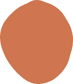 Brown Circle - abstract - No Background PNG