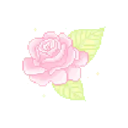 Pink Rose - Free Download PNG - Curated PNG