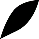 White Line Pattern on Black Background - abstract - Designer Recommended PNG
