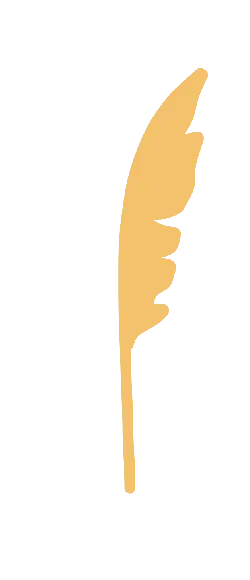 Feather - decorative - Free PNG