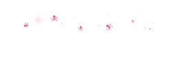 Pink Flowers - pink - background - PNG Images
