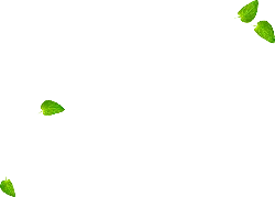 Falling Leaves - High Download Count PNG