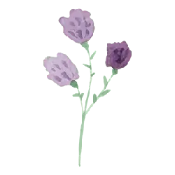 Purple Flowers - Popular Download PNG