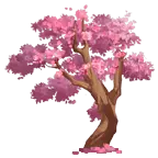 Cherry Blossom Tree - No Watermark PNG - beautiful
